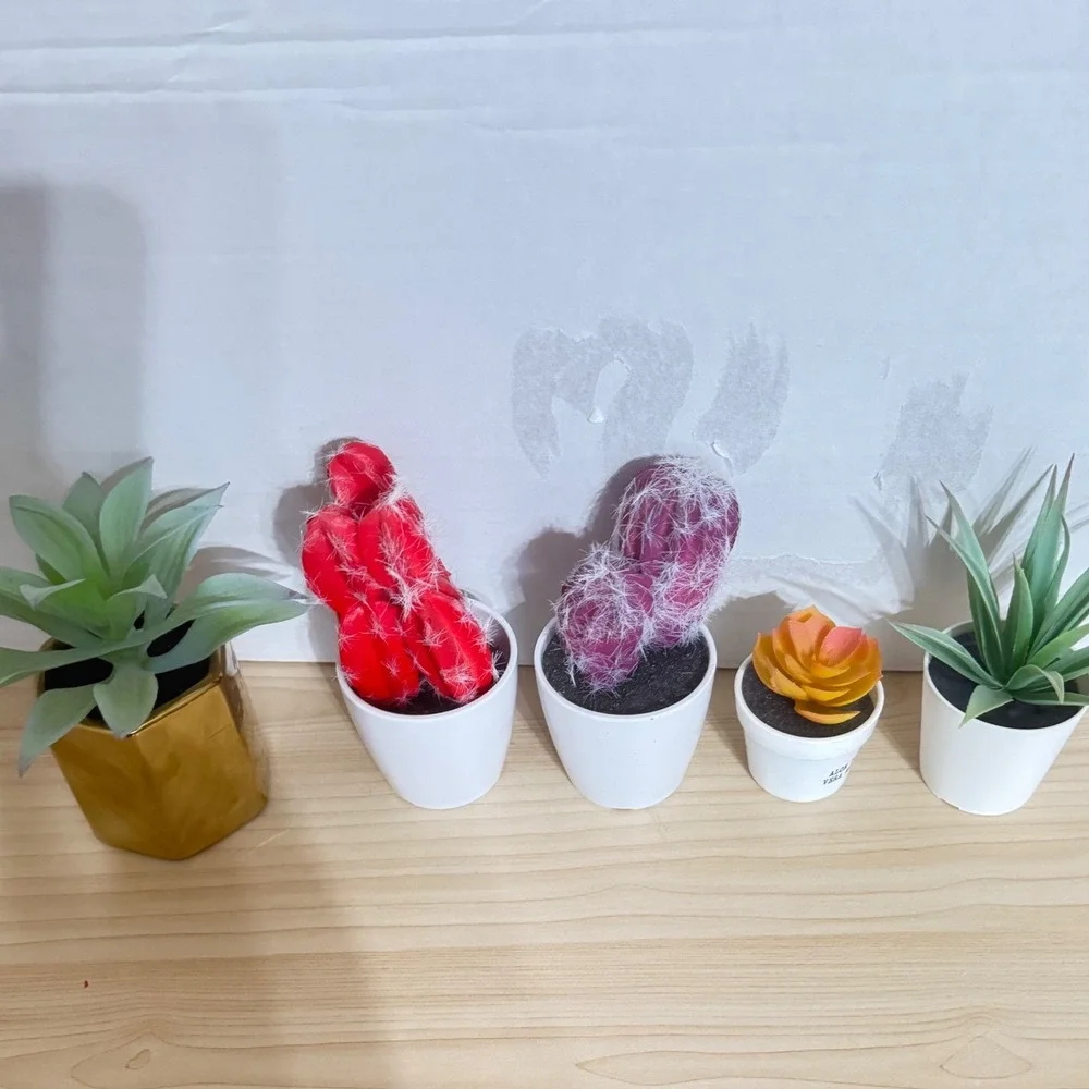 5*Mixed Artificial Succulent Cactus Plants Urban Outfitters Target Gold White